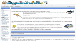 Desktop Screenshot of michaelmcfadyenscuba.info